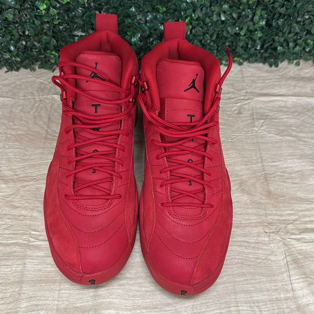 Air Jordan 12 Retro - M13